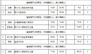 公务员政审材料范文