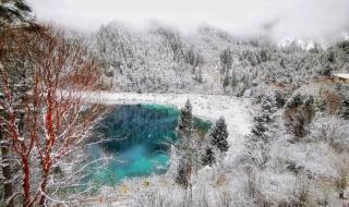 四川九寨沟景区下雪了