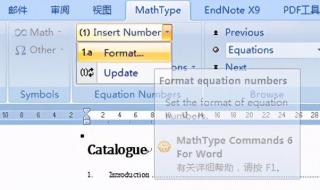 mathtype公式编号